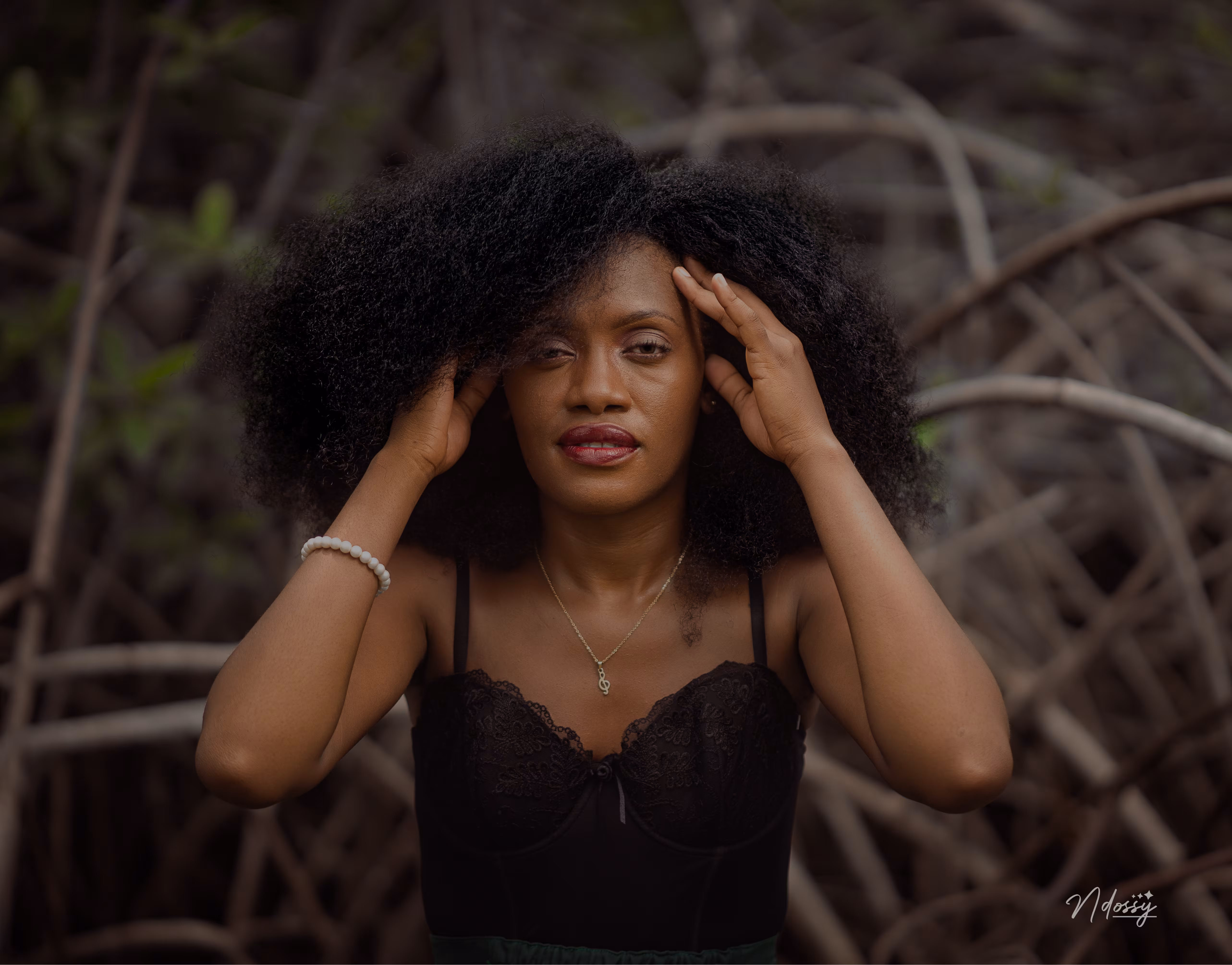 Portrait de Orphée NYNY